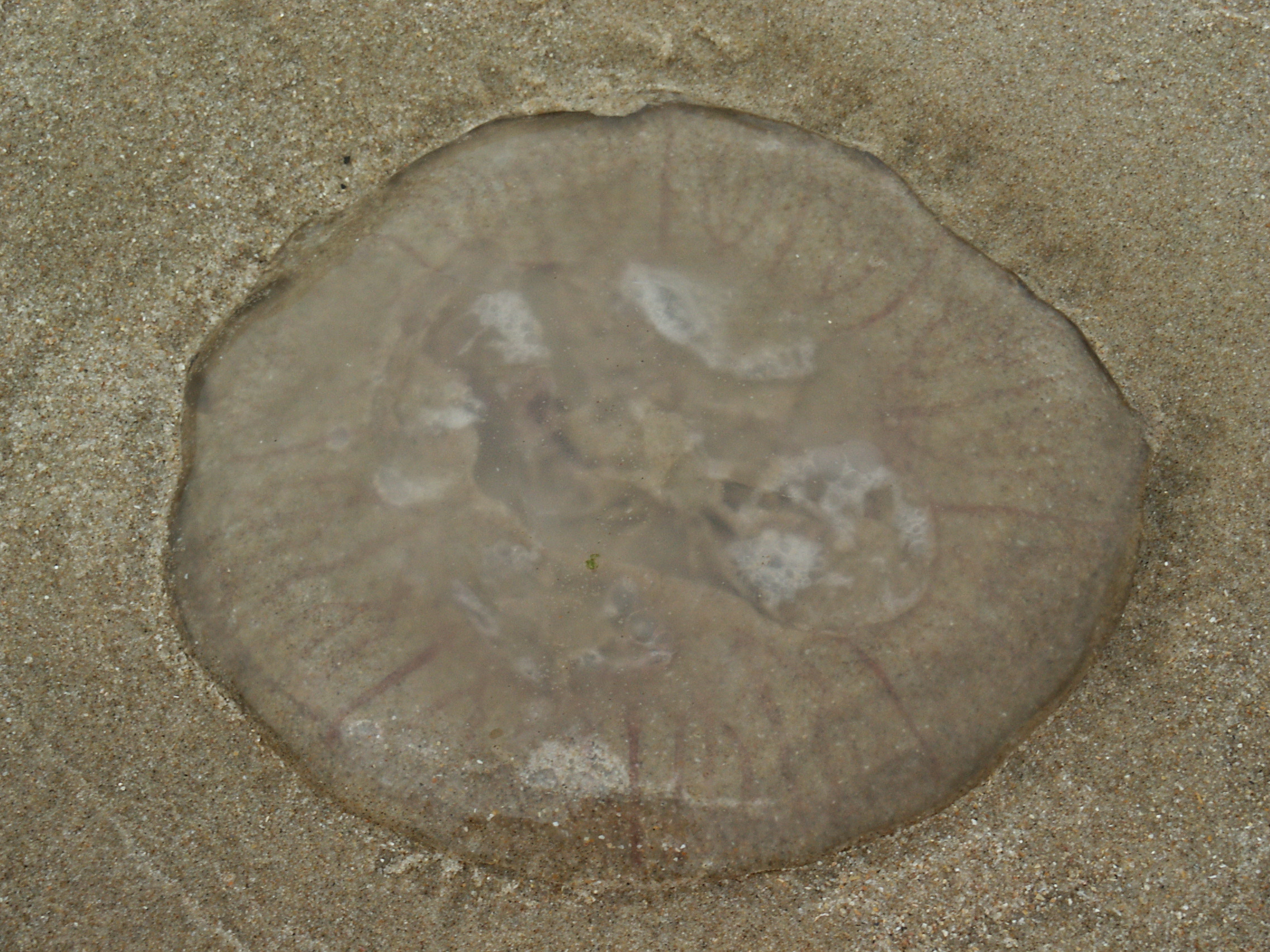 1516704178 1