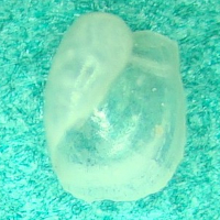 1450588545 1