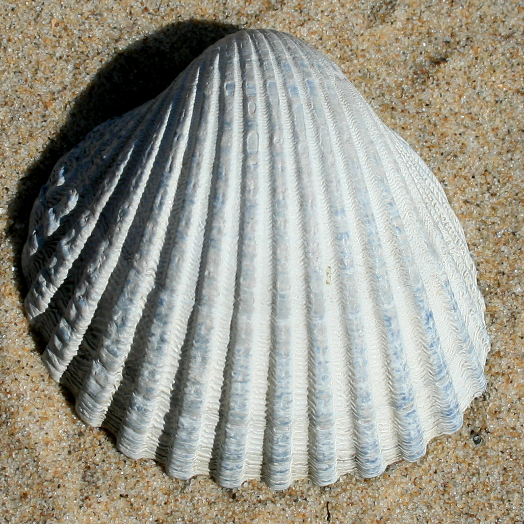 996424171 0