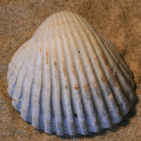 996424171 2
