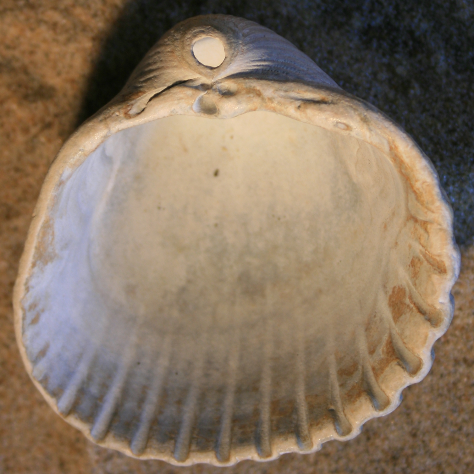 996424171 3
