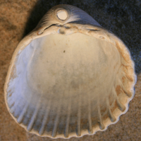 996424171 3
