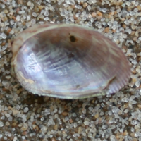 1504865334 3