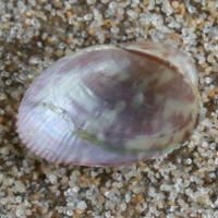 1504865334 1