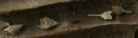 1911164923 1