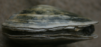 1751814398 9