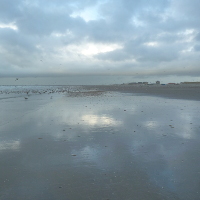 NL - IJmuiden
