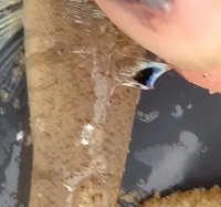 2098788248 2