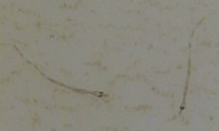 1657975278 3