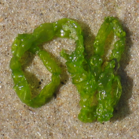 2009699406 3