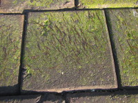 1500833154 2